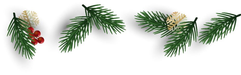Christmas light hanging service